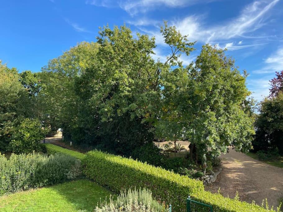 Superbe Appartement Terrasse, Proche De La Plage Bénodet Buitenkant foto